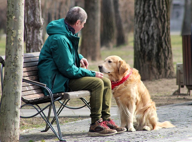 Dog parks near pet friendly apartments Albany