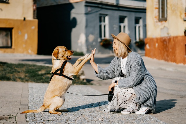 Dog parks near pet friendly apartments Albany