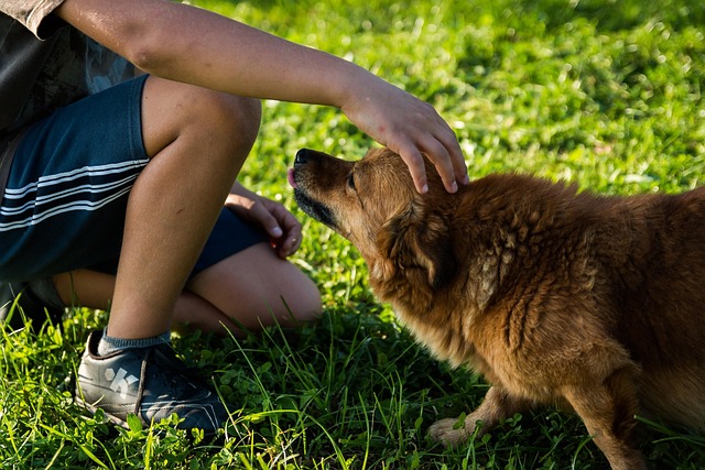 Dog parks near pet friendly apartments Albany