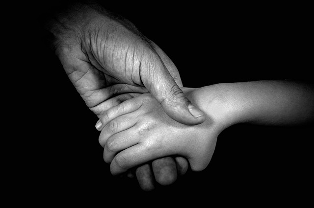 Family Law Services Albany
