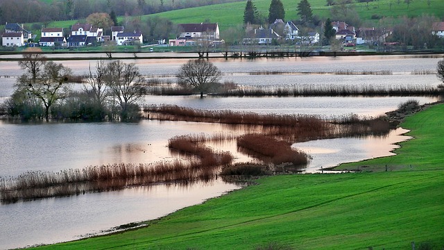 flood cleanup
