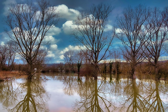 flood cleanup