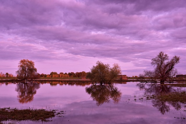 flood damage
