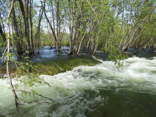 flood damage