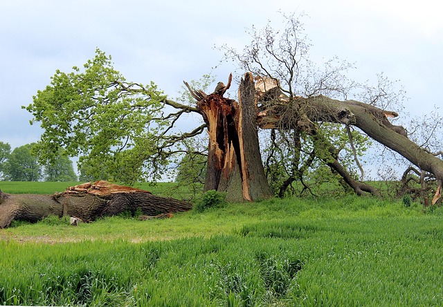 flood-damage-640x480-92190519.jpeg