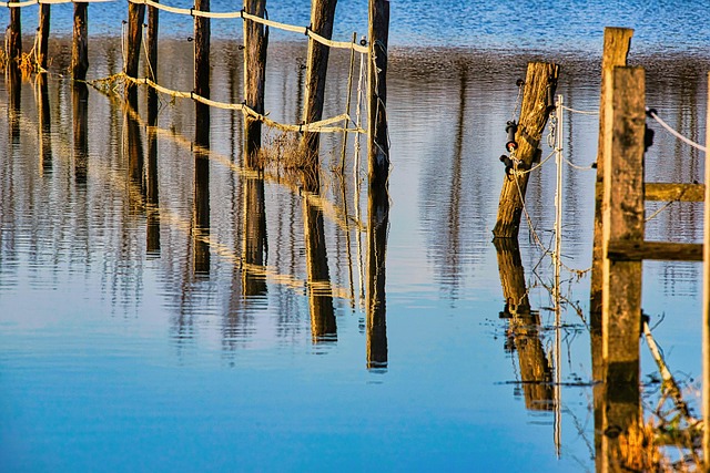 flood damage repair