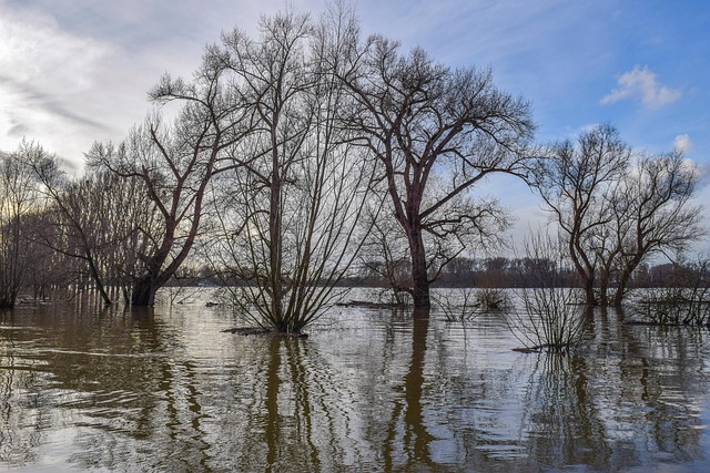 flood damage repair