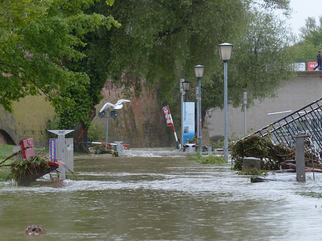flood damage repair