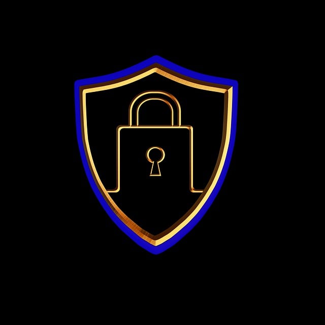 Free Criminal Consultation Albany