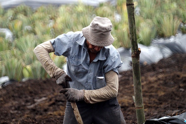 free-workers-comp-consultation-albany-640x480-49699353.jpeg