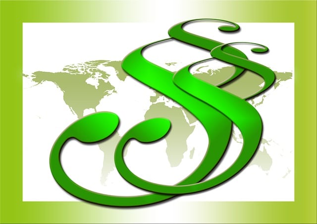 Guardianship Attorney Albany