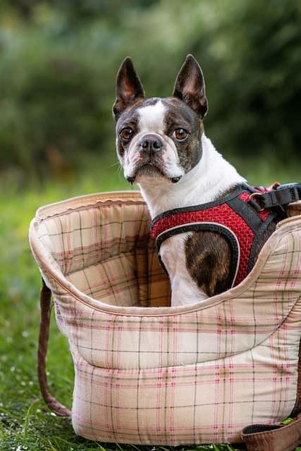 IT asset disposal Boston NY