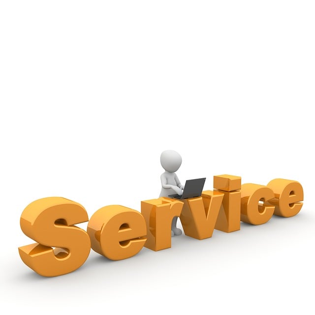 local SEO services Albany