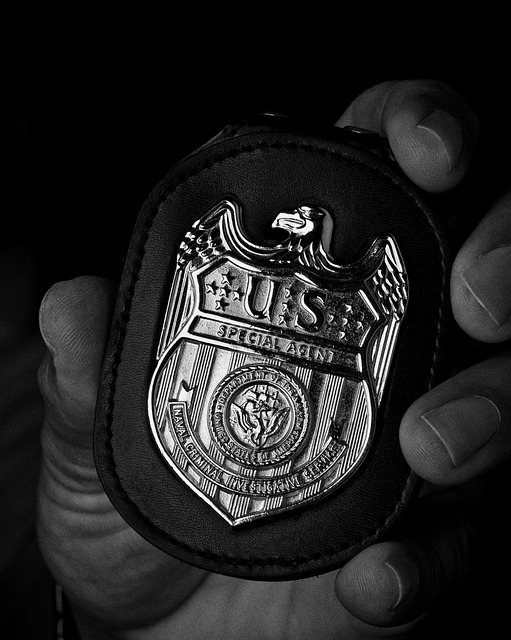 local SEO services Albany