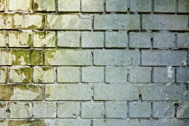 mold removal