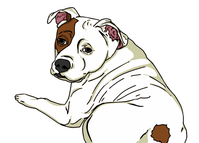 Pet sitting services near me in Albany, NY