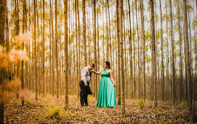 pre-nuptial-agreement-lawyer-albany-640x480-27982376.jpeg