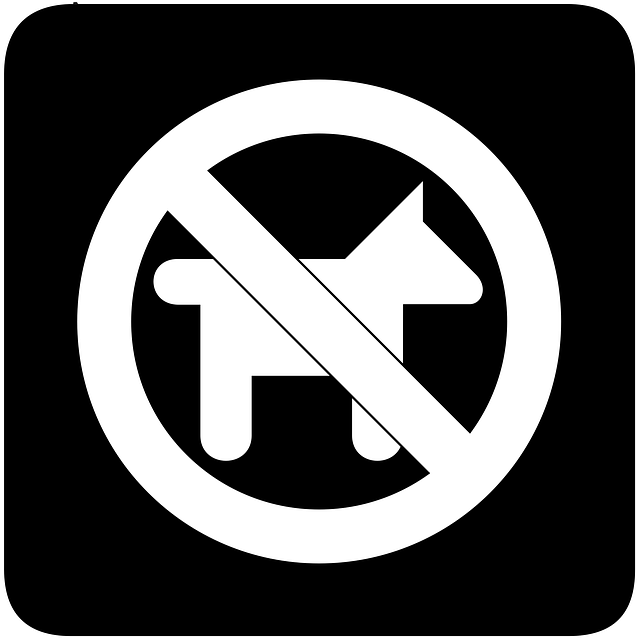 Prohibited Bar Saratoga Springs