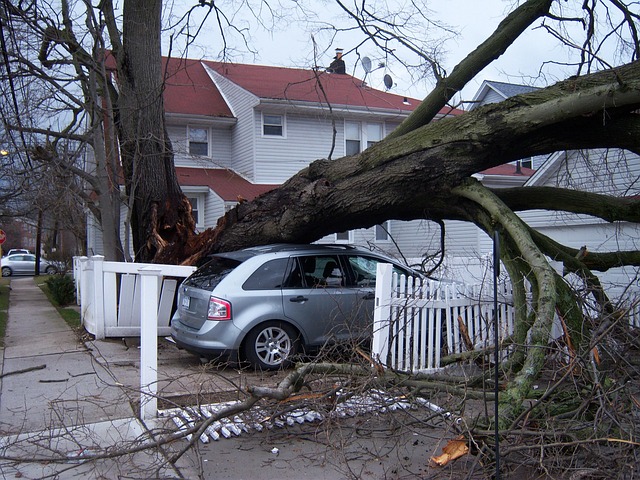 property damage