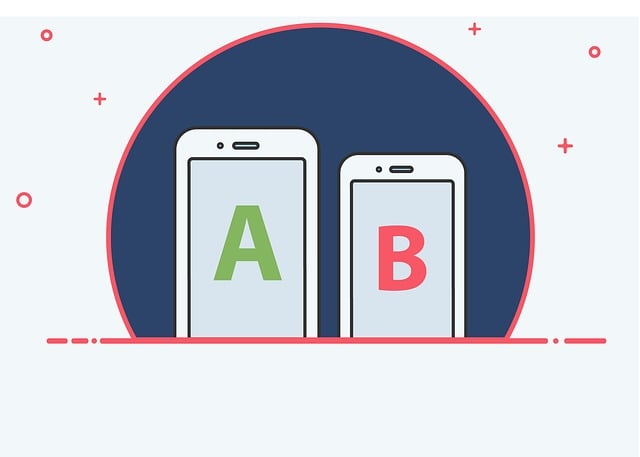 SEO agency Albany