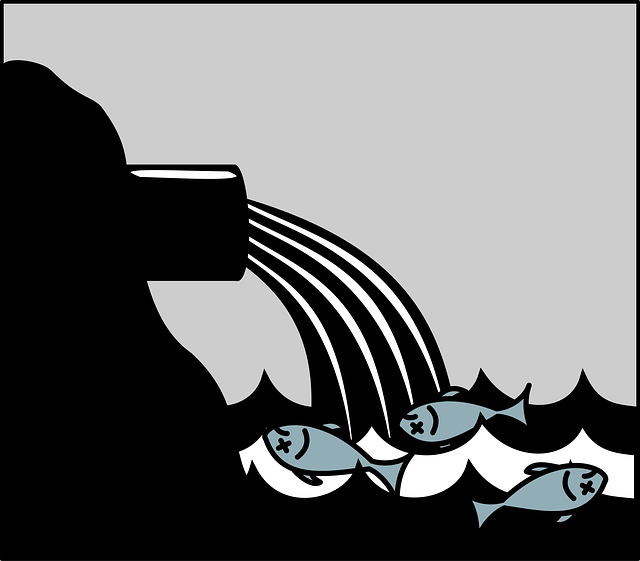 sewage cleanup