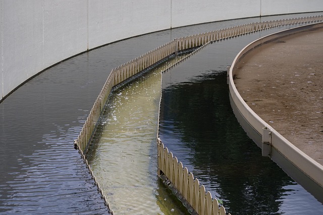 sewage cleanup