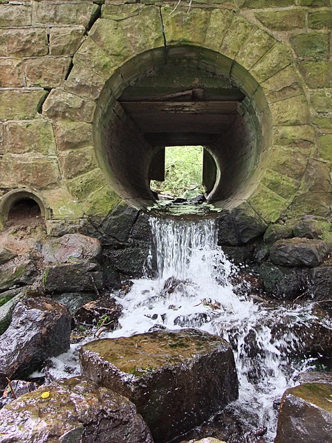 sewage cleanup