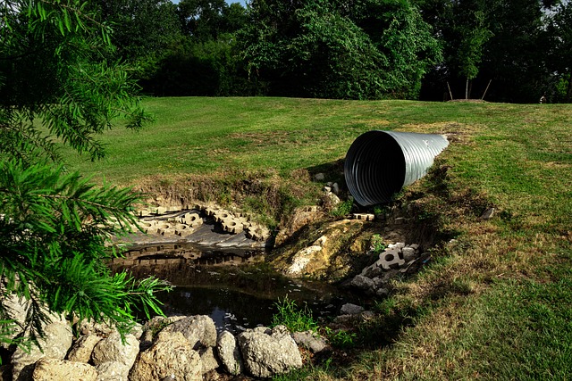 sewage cleanup