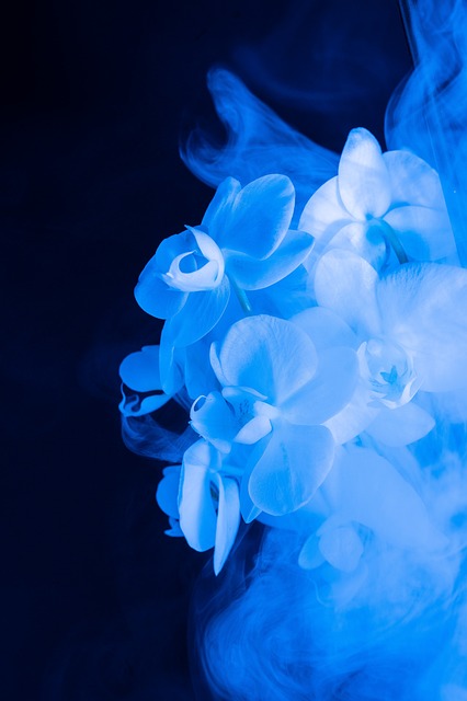 smoke odor removal