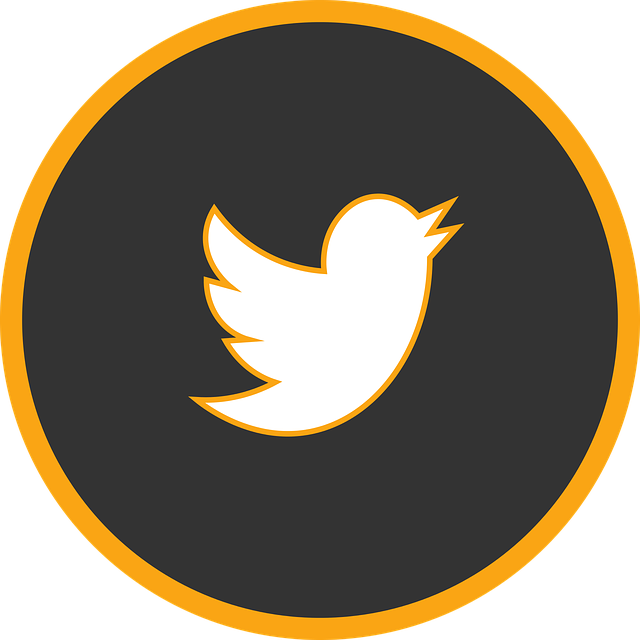 social-media-management-agency-albany-640x480-41898642.png