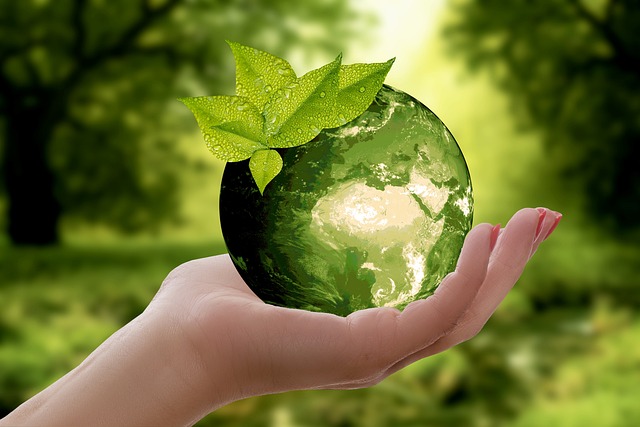 Sustainability of Glue Laminated Beams