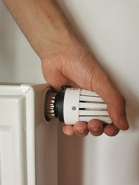 thermostat repair Albany