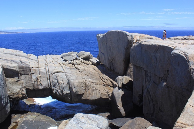 videographer Albany