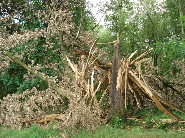 water-damage-mitigation-640x480-12682686.jpeg