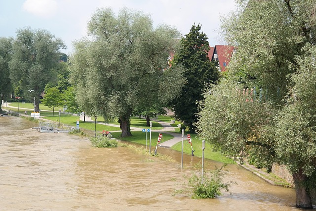 water-damage-mitigation-640x480-4303804.jpeg
