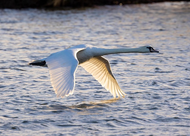 water-extraction-640x480-93539056.jpeg