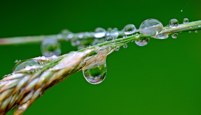water removal
