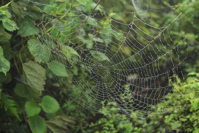 web design Albany