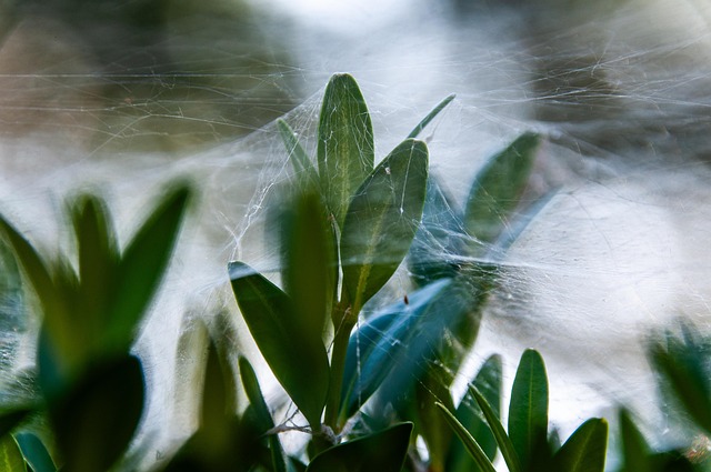web design Albany