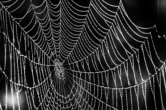 web design Albany