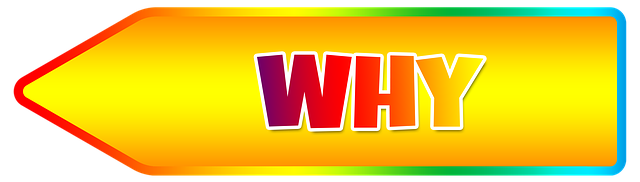 What to Do After Albany Car Accident