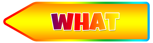 What to Do After Albany Car Accident