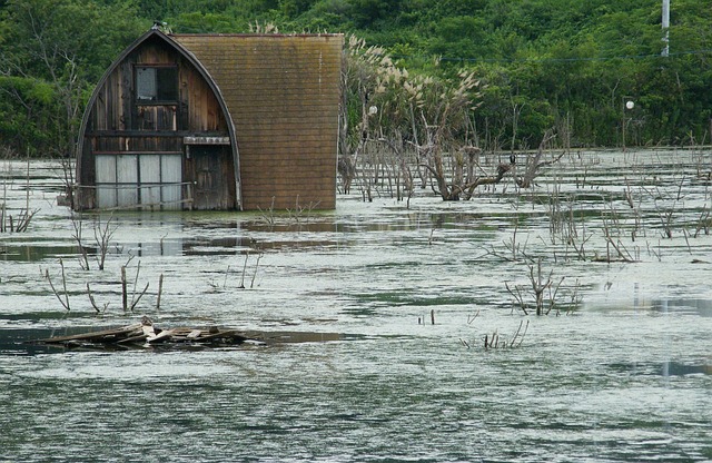 flood cleanup