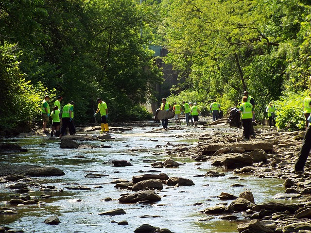 flood cleanup