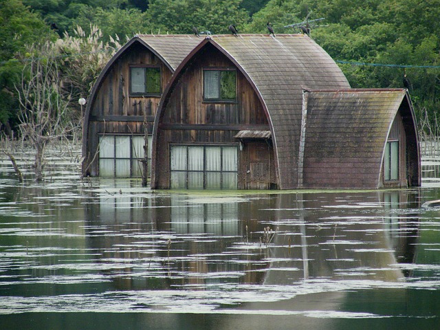 basement flood cleanup