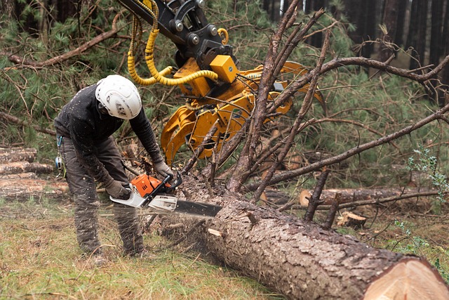 disaster-restoration-640x480-39680753.jpeg
