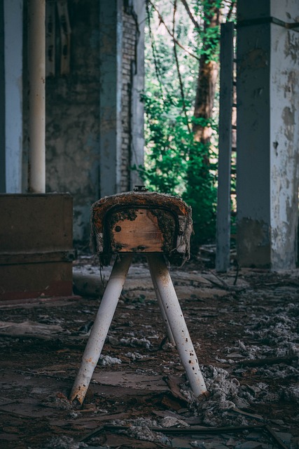 disaster restoration