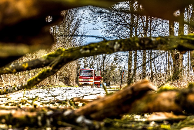 fire damage