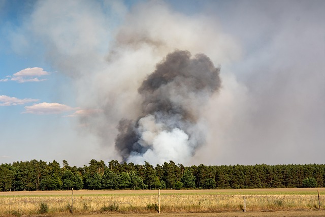 fire restoration