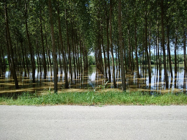 flood cleanup